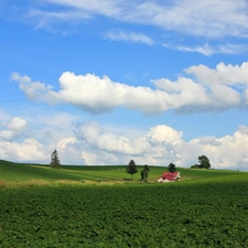 viewes, Home, Field, trees, clouds