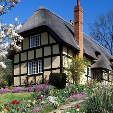 Home, trees, viewes, Flowers