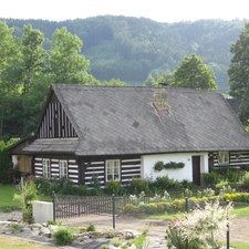 Home, trees, viewes, garden