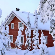 viewes, house, Snowy, trees, winter