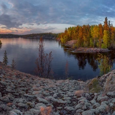 viewes, forest, Russia, Great Sunsets, Karelia, trees, Lake Ladoga, clouds