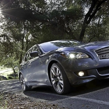 Infiniti M37, trees, viewes, Way