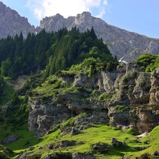 viewes, Mountains, Stones, trees, rocks