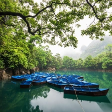 forest, boats, viewes, Mountains, trees, River
