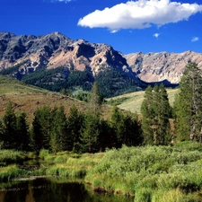 Mountains, trees, viewes, lake