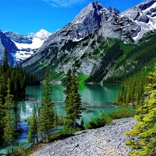 Mountains, trees, viewes, lake