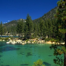 Mountains, trees, viewes, River