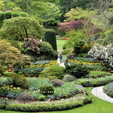 Park, trees, viewes, Flowers