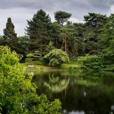 Park, trees, viewes, Pond - car