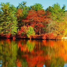 trees, Colours, River, autumn, color, viewes, reflection