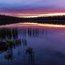 trees, sun, grass, lake, west, viewes, reflection