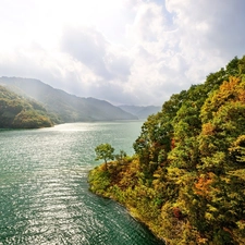 River, trees, viewes, Autumn