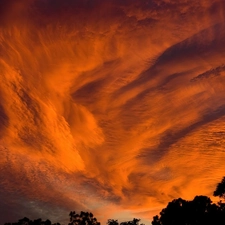 Sky, trees, viewes, clouds