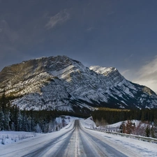 viewes, snow, Way, trees, mountains