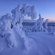 Spruces, winter, trees, viewes, Snowy, snow