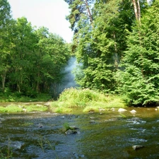 viewes, Stones, forest, trees, River