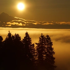 viewes, sun, clouds, trees, Mountains