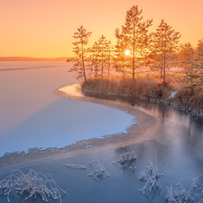lake, Ladoga, Sunrise, trees, winter, Karelia, Russia, viewes