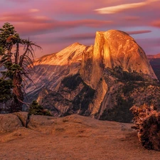 Half Dome, Mountains, trees, rocks, Great Sunsets, The United States, California, mountains, illuminated, Yosemite National Park, viewes