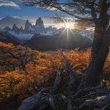 rays of the Sun, Argentina, viewes, trees, Mountains, Los Glaciares National Park, Fitz Roy, Mountains, Patagonia, mount, autumn