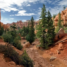 viewes, canyon, trees