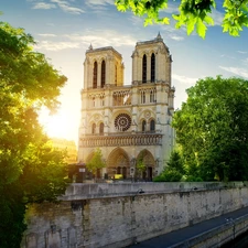 Paris, France, trees, viewes, Cathedral Notre Dame