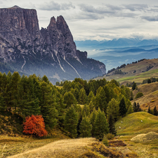 Dolomites, Italy, trees, viewes, Schlern Mount, Mountains