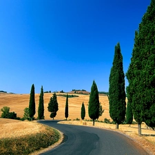 viewes, Way, field, trees, Sky