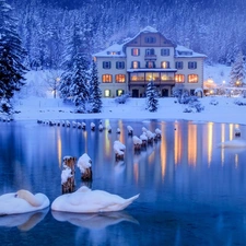 lake, Swan, winter, trees, light, house, forest, viewes