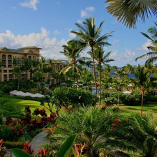 villa, Garden, Palms