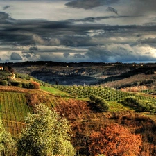 vineyards