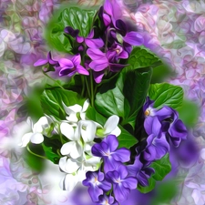 graphics, Flowers, fragrant violets