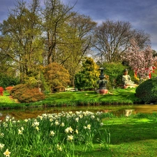 Garden, green, water, Flowers