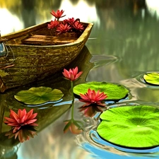 water, Boat, lilies