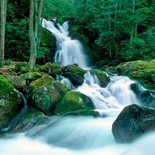 forest, mosses, waterfall, boulders