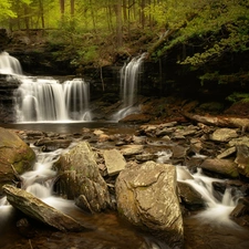 forest, Stones, waterfall, River