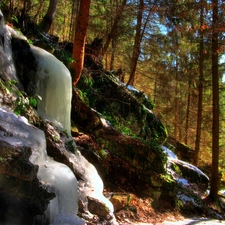 waterfall, forest, frozen