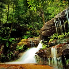 waterfall, forest, rocks