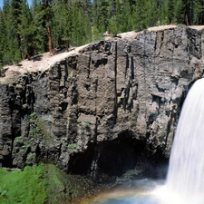 trees, Rocks, waterfall, viewes