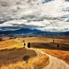 trees, Mountains, Way, autumn, viewes, field