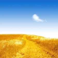 Way, Golden, Field