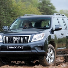 Toyota, Prado TX, Way, Land Cruiser