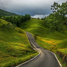 Way, medows, Mountains