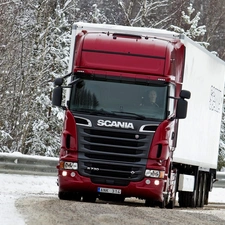 forest, Scania R730, Way