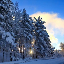 Way, winter, viewes, clouds, trees
