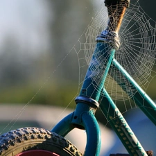 Bike, Web