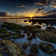 Sky, Seashore, west, Sun, clouds, sea