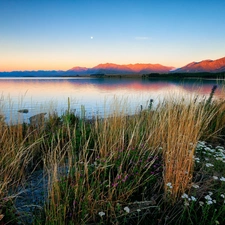 grass, River, west, sun, Flowers, Mountains