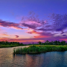 viewes, lake, west, sun, grass, trees