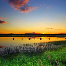 west, sun, grass, clouds, lake